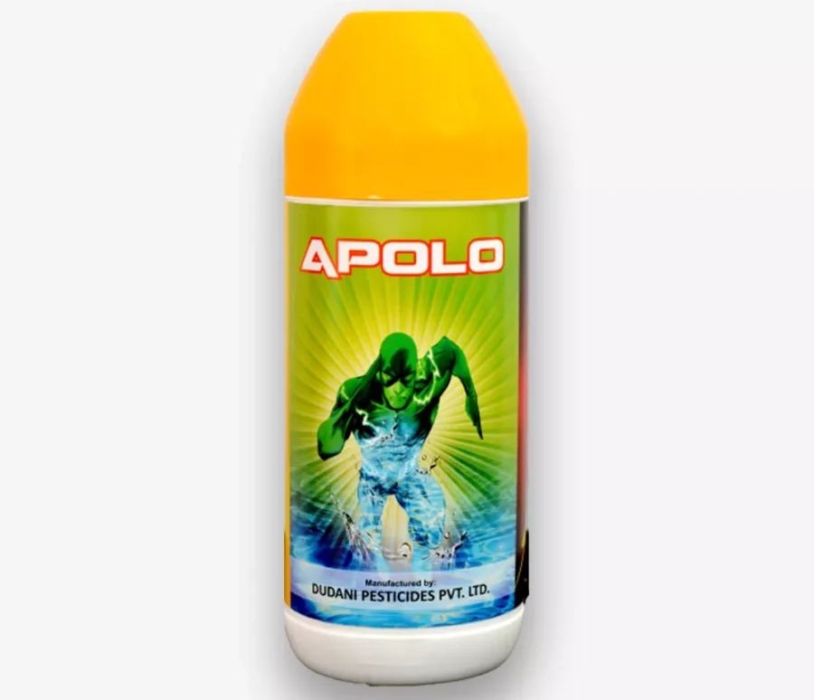 apolo-new