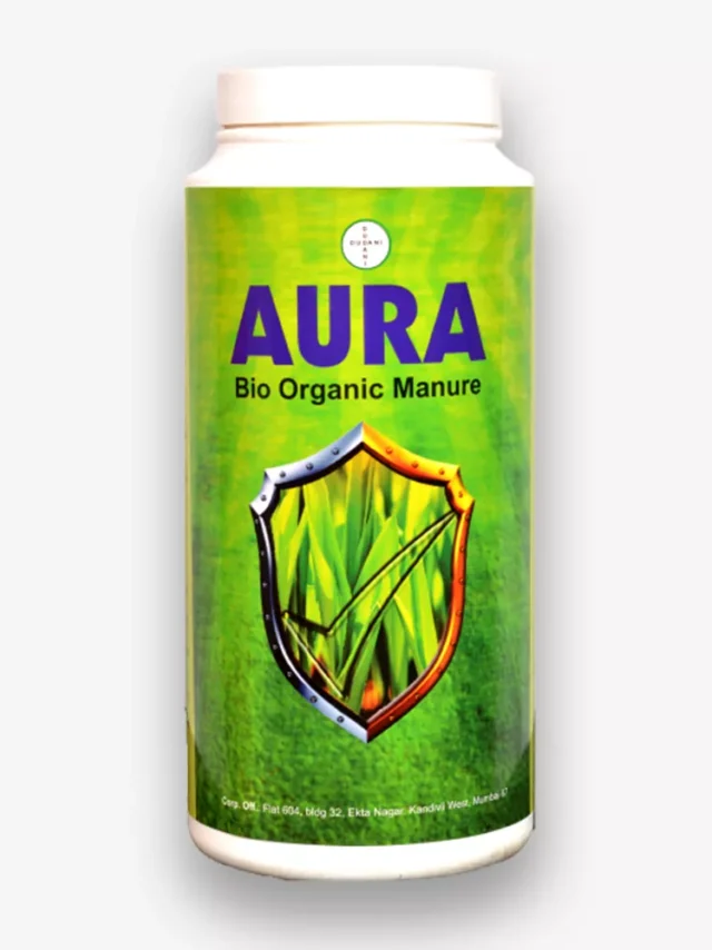 aura-new1