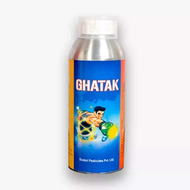 ghatak-new