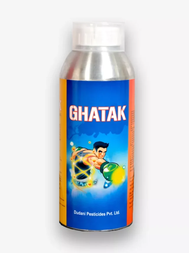 ghatak-new