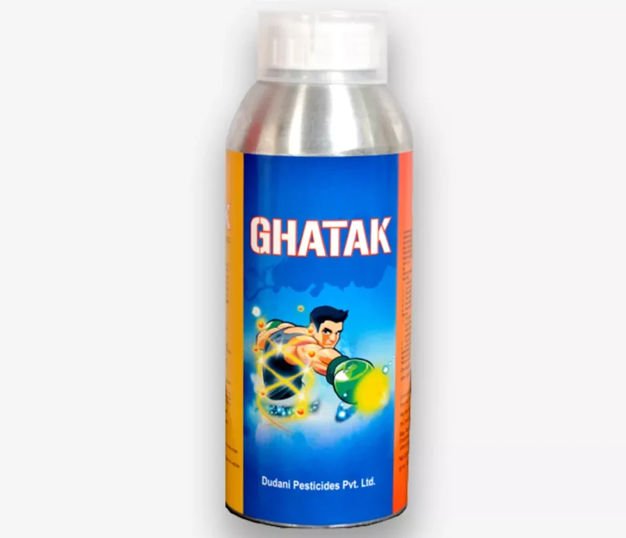 ghatak-new