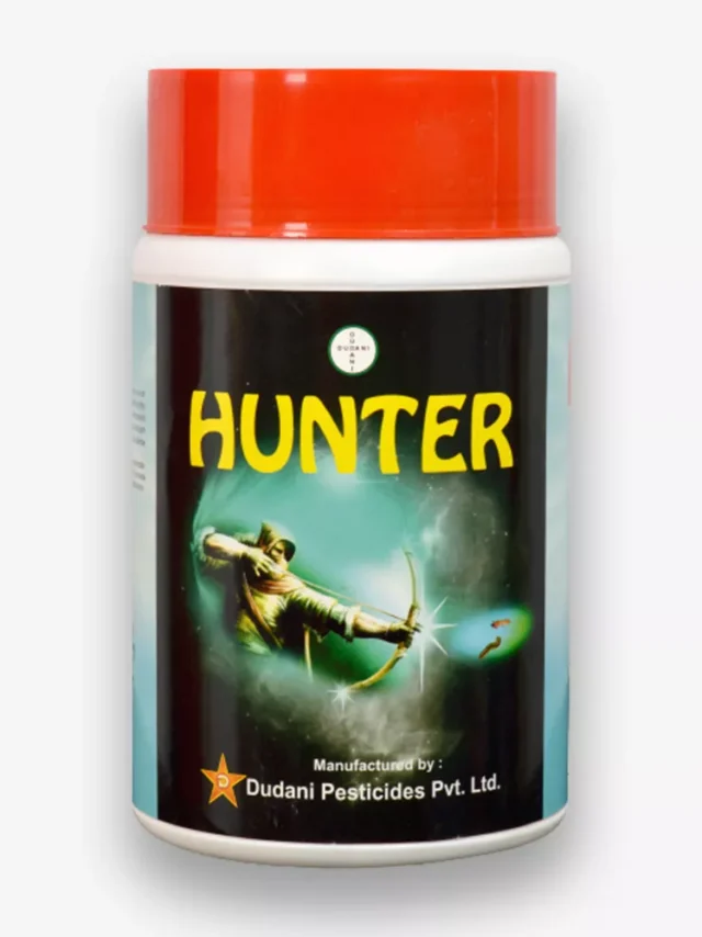 hunter-new