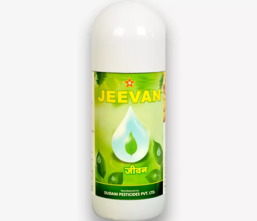 jeevan-new1