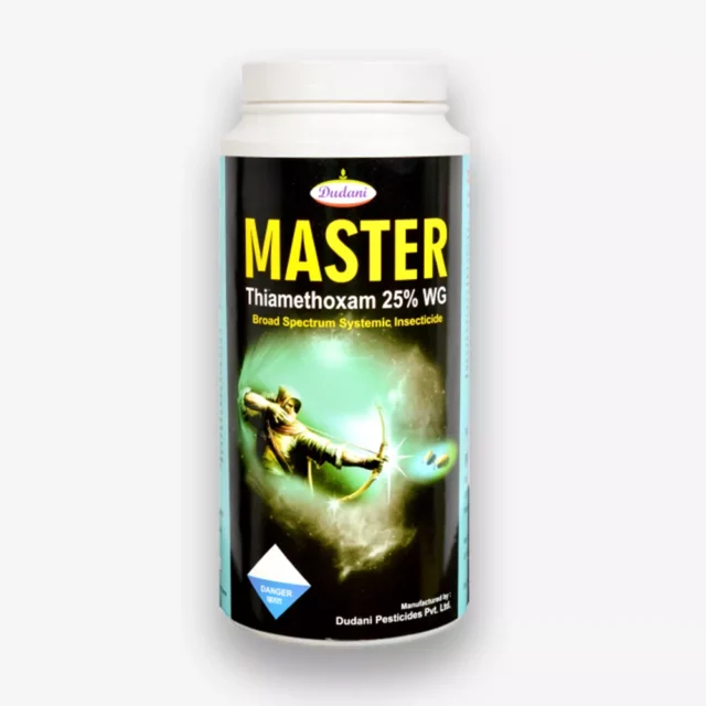 master-new