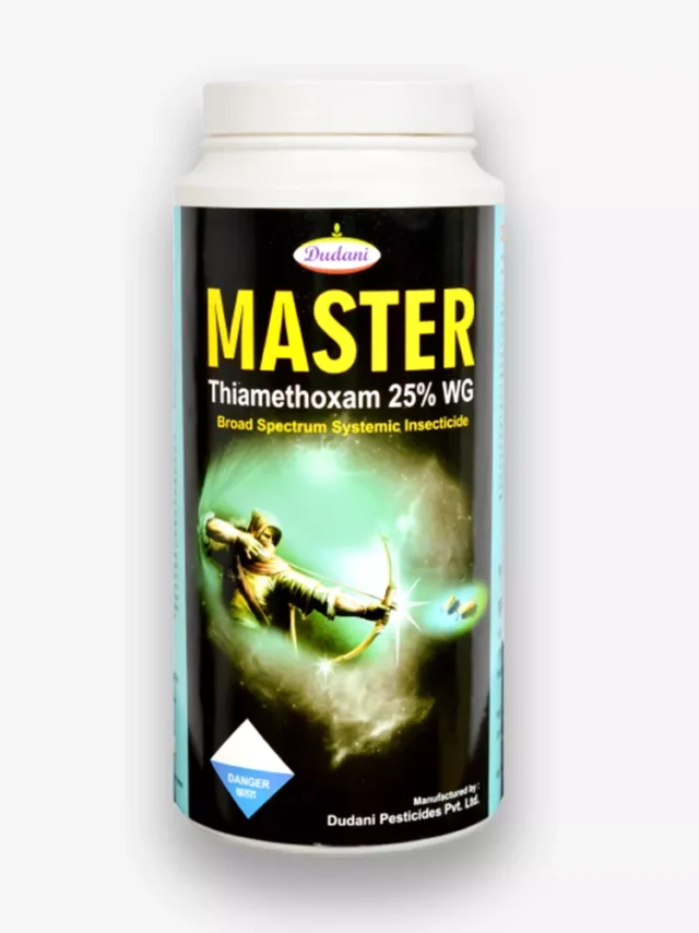 master-new