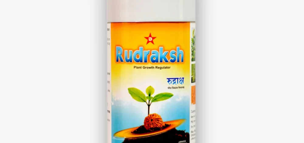 rudraksh-power-new1