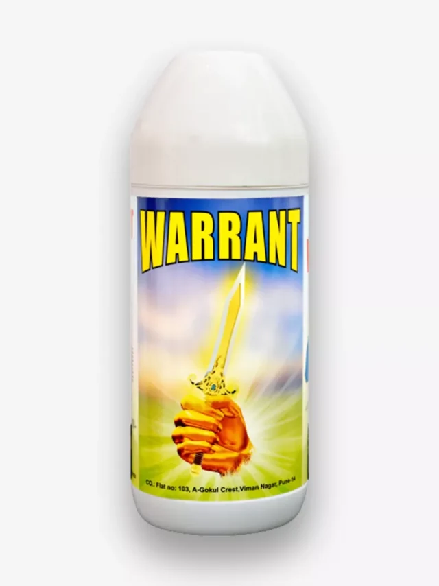 warrant-new